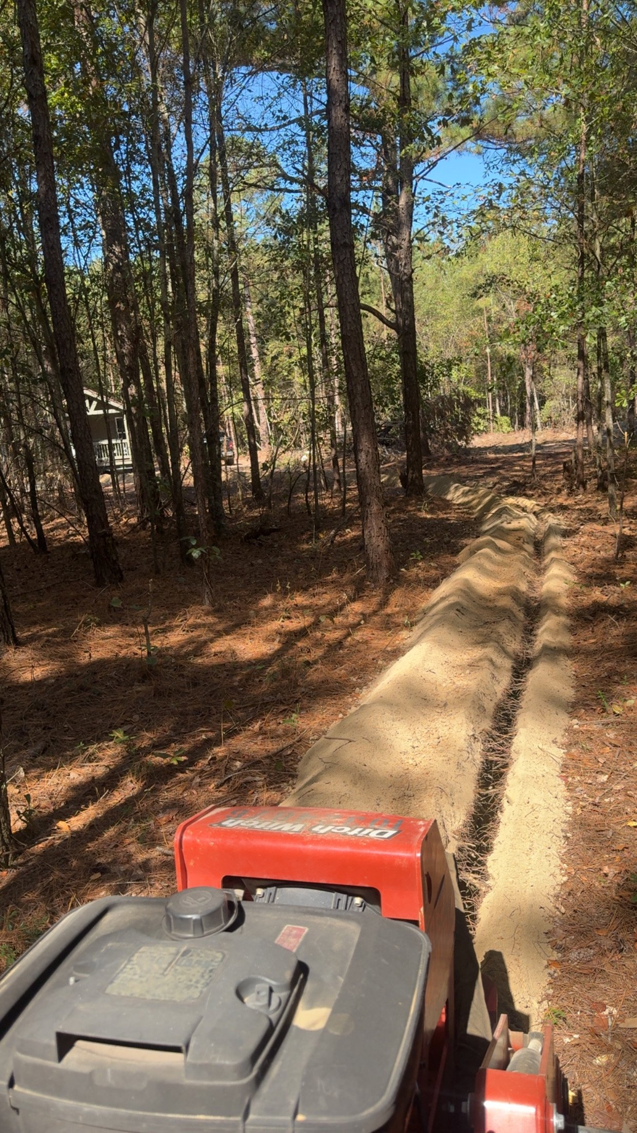 Freshly cut trench line running through a wooded lot